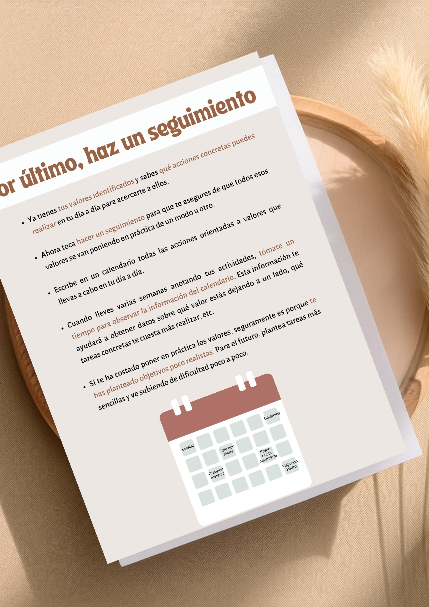 Material Terapéutico Customizable para Psicólogos: Cultivando Mis Valores de Vida Cintia Tur Psicóloga